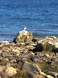 IMG_0036