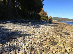 IMG_0067