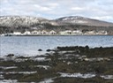 IMG 0086