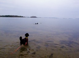 IMG 0140