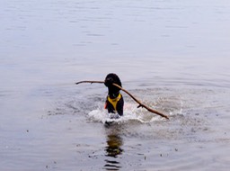 IMG 0186