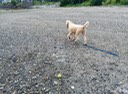 IMG 0817