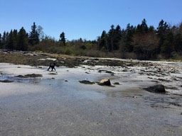 IMG_0840.jpg