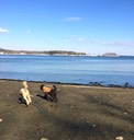 IMG_1275