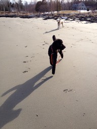IMG_1324