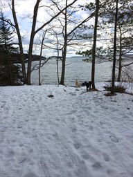 IMG_1646