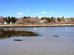IMG_1863