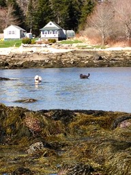 IMG_1867