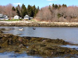 IMG_1868